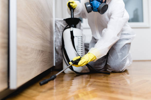 Best Mosquito Control Services  in Coats, NC