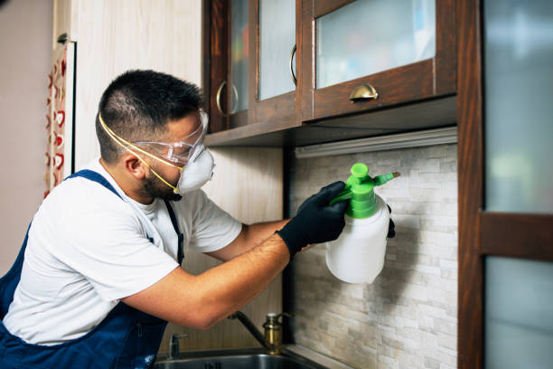 Best Bed Bug Extermination  in Coats, NC