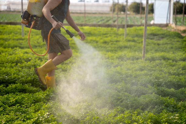 Professional Pest Control in Coats, NC