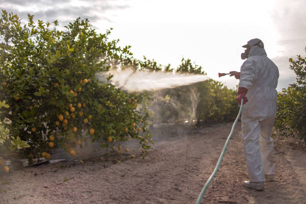 Best Pest Control for Homes  in Coats, NC