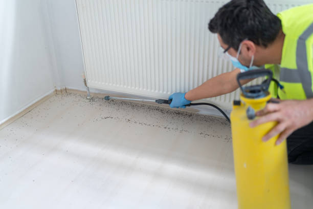 Best Residential Pest Control  in Coats, NC