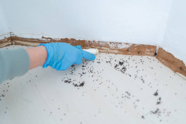 Best Pest Prevention Services  in Coats, NC