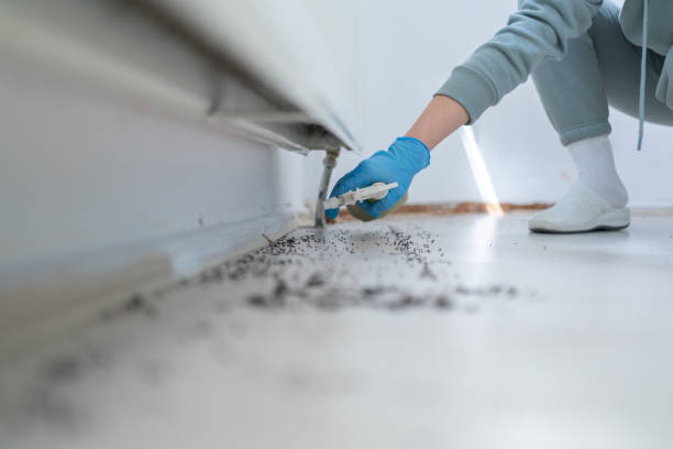 Best Best Pest Control Companies  in Coats, NC